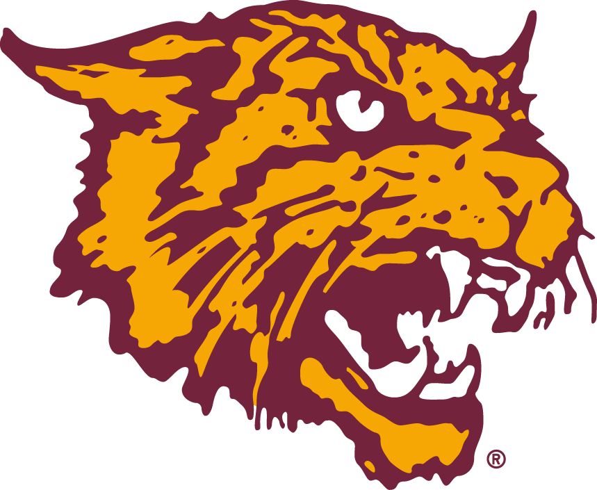 Bethune-Cookman Wildcats 2000-2015 Alternate Logo v3 diy iron on heat transfer